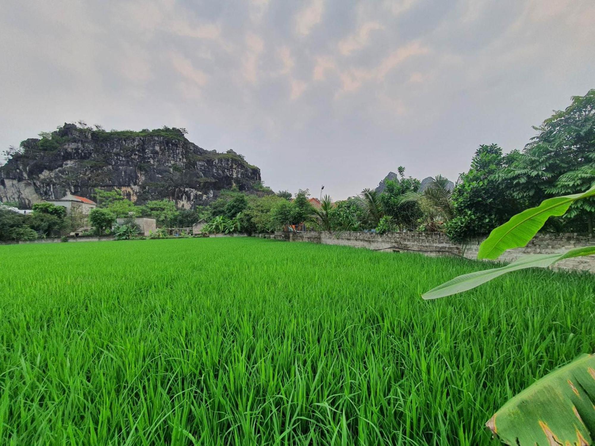 Trang An Garden Bungalow ニンビン エクステリア 写真